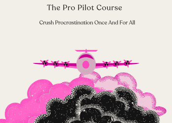 The Pro Pilot